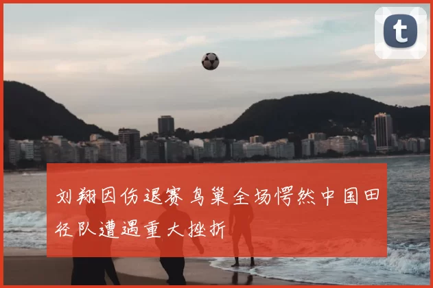 刘翔因伤退赛鸟巢全场愕然中国田径队遭遇重大挫折