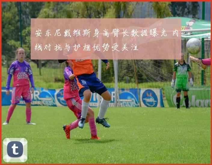 安东尼戴维斯身高臂长数据曝光 内线对抗与护框优势受关注