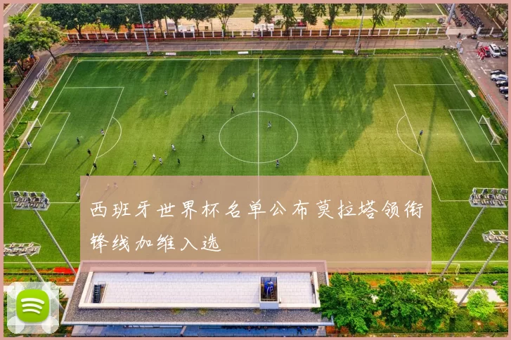 西班牙世界杯名单公布莫拉塔领衔锋线加维入选