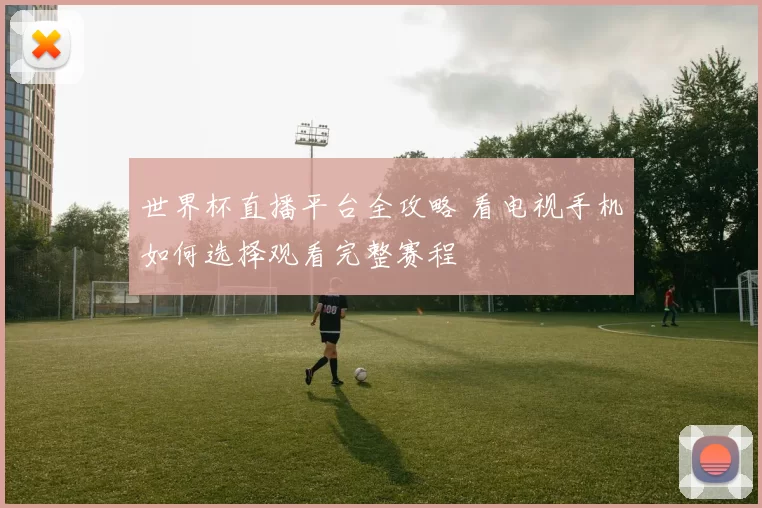世界杯直播平台全攻略 看电视手机如何选择观看完整赛程